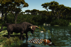 Fish and Bull